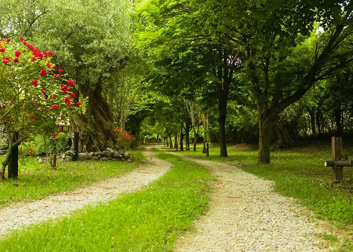 Alojamento de Turismo Rural La Del Parco