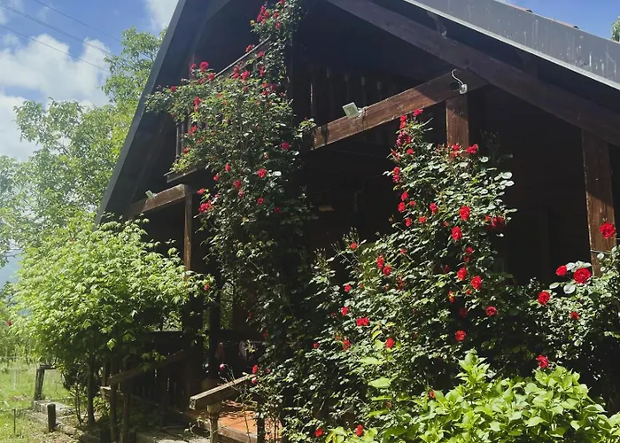 Alojamento de Turismo Rural La Del Parco Morano Calabro