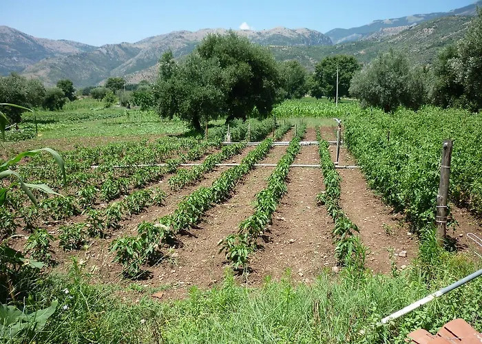 Alojamento de Turismo Rural La Del Parco *