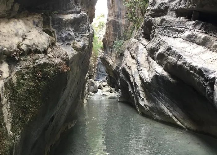 Alojamento de Turismo Rural La Del Parco